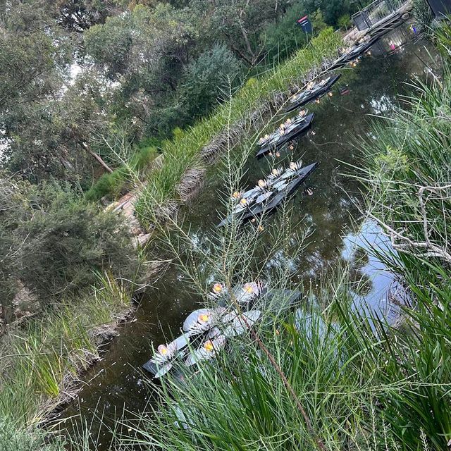 Kings Park & Botanic Garden – Perth, WA