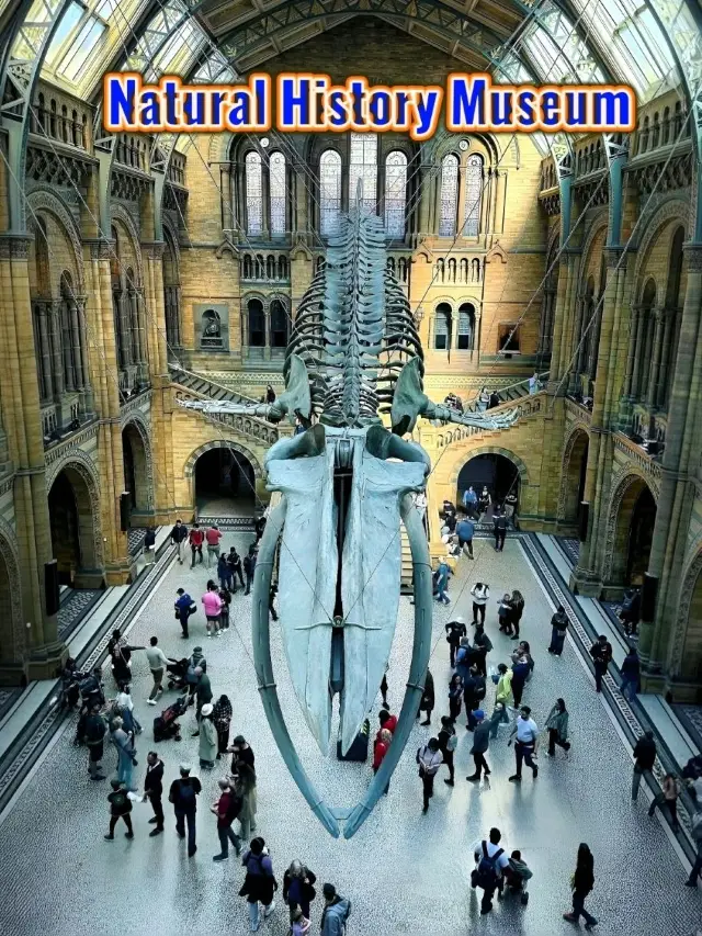 Discover Nature’s Wonders, Dinosaurs & more for Free! A Day at London’s Natural History Museum.