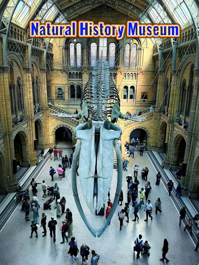 Discover Nature’s Wonders, Dinosaurs & more for Free! A Day at London’s Natural History Museum. 