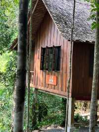 🌿 รีวิว Chestnut Hill Eco Resort