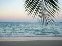 รีสอร์ทเกาะเสม็ด เสร็จทุกรายแน่นอน samed seaside