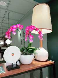 Jibby Chow Bangsar: Elegant Dining for Modern Chinese Cuisine Lovers