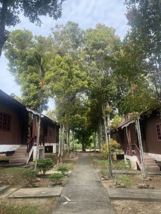 河風輕拂，叢林氣息：彭亨國家公園週末遊