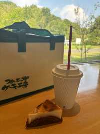 福岡県のおすすめスポット4選！✨
