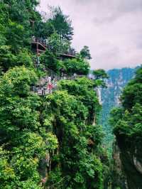 🌉 The First Bridge Under Heaven: Nature’s Hidden Marvel