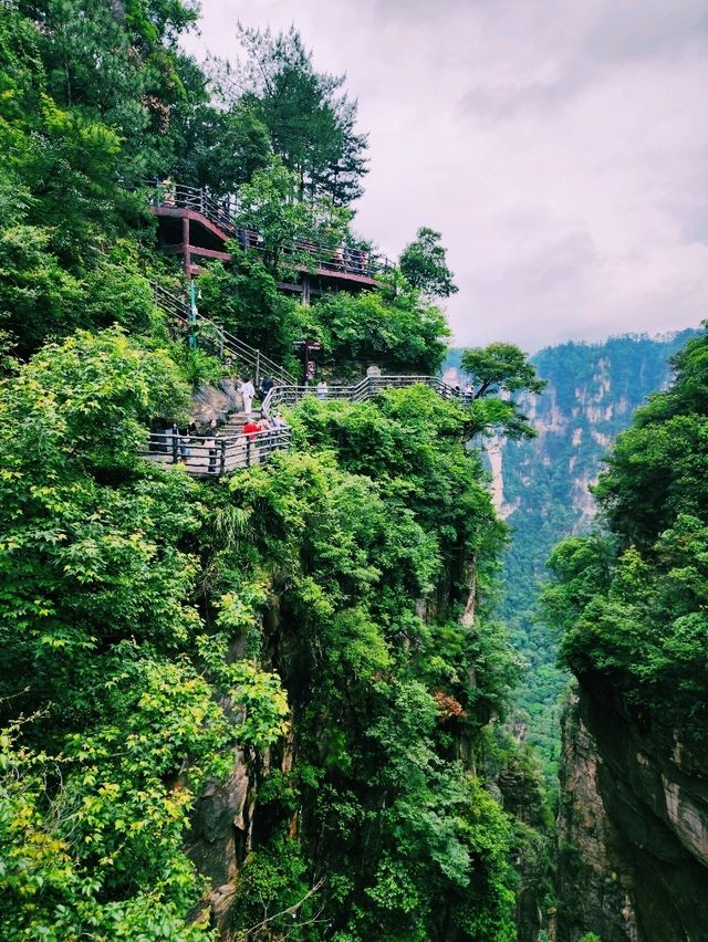 🌉 The First Bridge Under Heaven: Nature’s Hidden Marvel