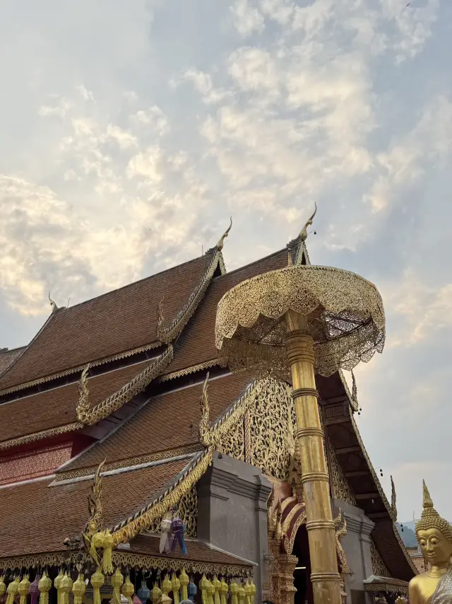 ทริปมูเชียงใหม่