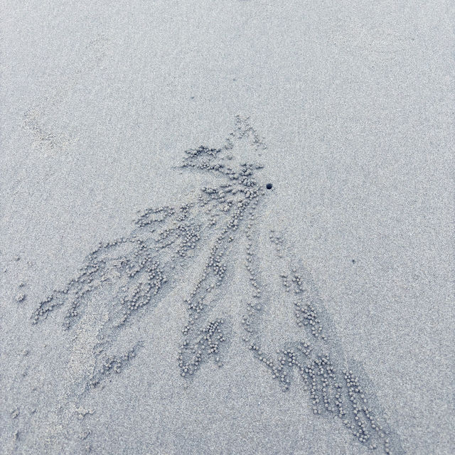 altTitle