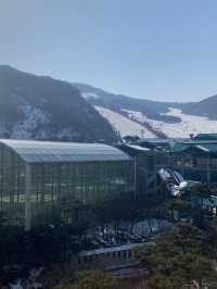 스키여행의 낭만을 제대로 느낄 수 있는 1박 2일 곤지암 여행⛷️