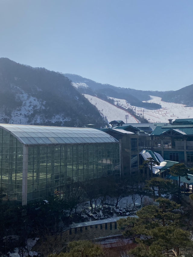 스키여행의 낭만을 제대로 느낄 수 있는 1박 2일 곤지암 여행⛷️