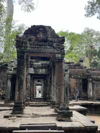 Siem Reap Travel Highlights 