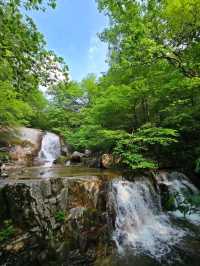 Waterfalls, Woods, and Zero Worries