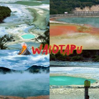North Island's Most Unique Aroma is Actually a Top Attraction! 👃💎