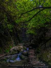 Shivapuri best hike near Kathmandu 