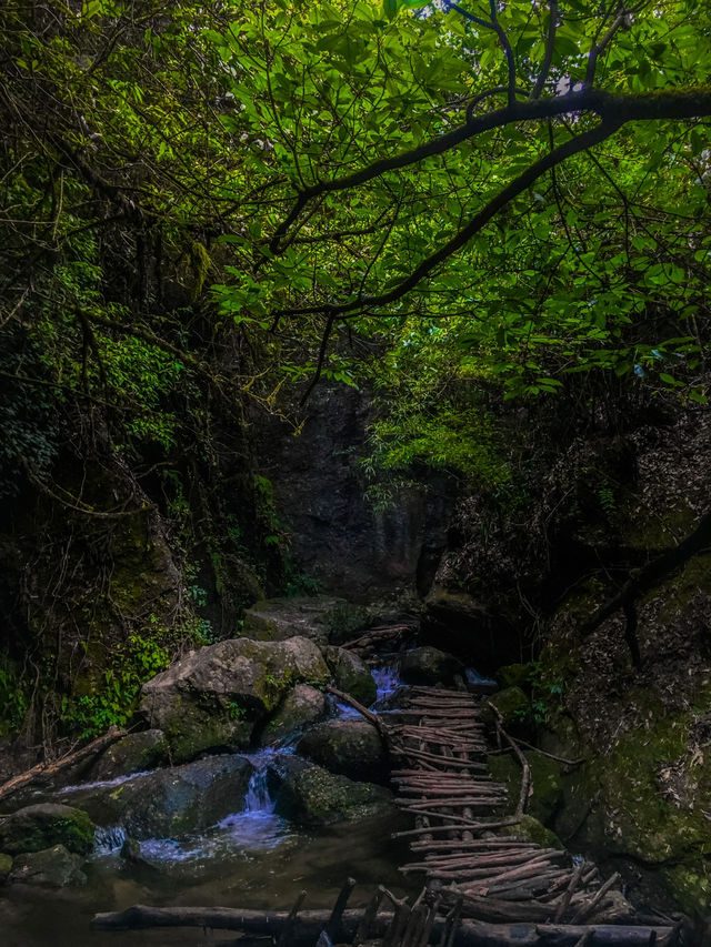 Shivapuri best hike near Kathmandu 