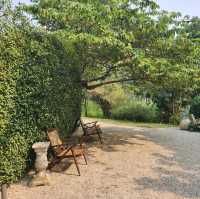 Soak in Nature at Whispering Cafe