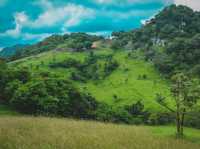 🌧️⛺️ ไร่ฝนเทียม – กางเต็นท์หน้าฝน