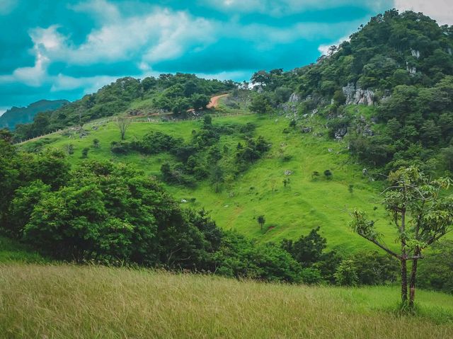 🌧️⛺️ ไร่ฝนเทียม – กางเต็นท์หน้าฝน