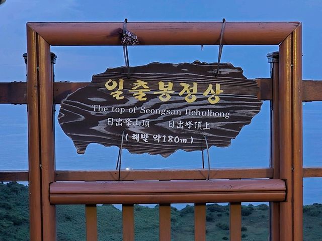 P들의 계획적인 제주여행