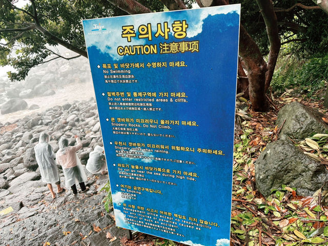 🌧️ 비내리던 날 ‘정방폭포’