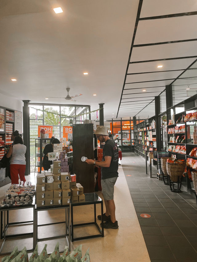 Sip, Shop & Savor: The BOH Tea Boutique Experience
