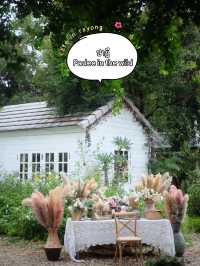 ร้านปาฎี : Padee in the wild คาเฟ่ระยอง