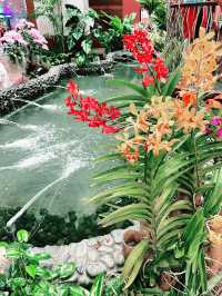 “Amazed by the Enchanted Garden at T2”