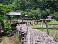 ถ่ายรูปสะพานไม้ไผ่วิวทุ่งนา กับ วัดนาคูหา📍แพร่ 