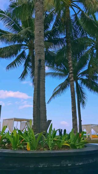 【W Bali - Seminyak】入住峇里島最潮飯店！