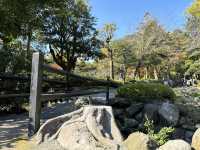 🌸 Serenity & Sweet Potatoes: A Peaceful Escape at Sengan-en 🌋