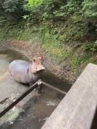 長崎Bio park- 教育與感動兼具的動物園