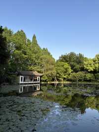 เที่ยว Hangzhou Botanical Garden