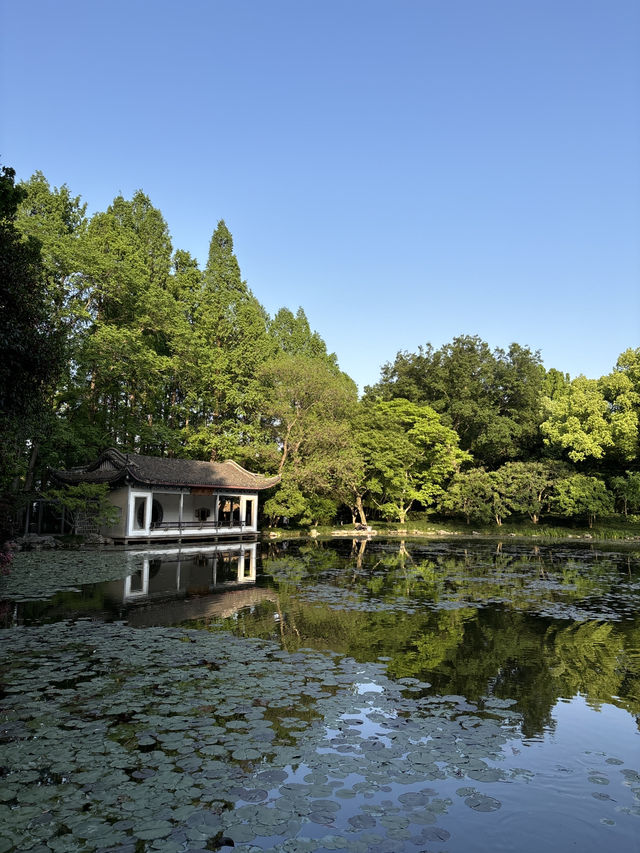 เที่ยว Hangzhou Botanical Garden