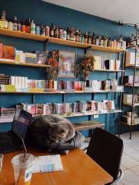 A book with no name ร้านหนังสือที่มีแมว 