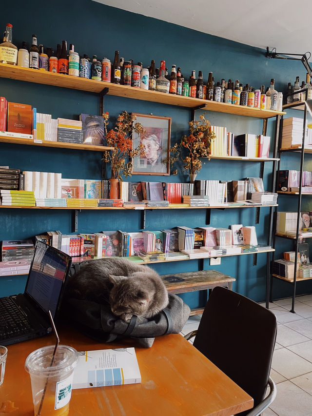 A book with no name ร้านหนังสือที่มีแมว 