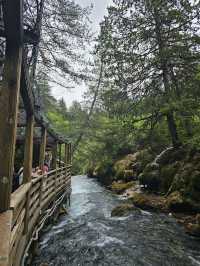 Ultimate Jiuzhaigou Valley Guide: China's Most Breathtaking UNESCO Paradise