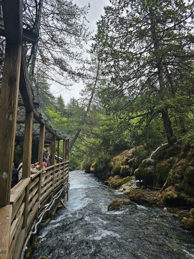 Ultimate Jiuzhaigou Valley Guide: China's Most Breathtaking UNESCO Paradise