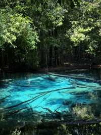 Emerald Pool, Krabi