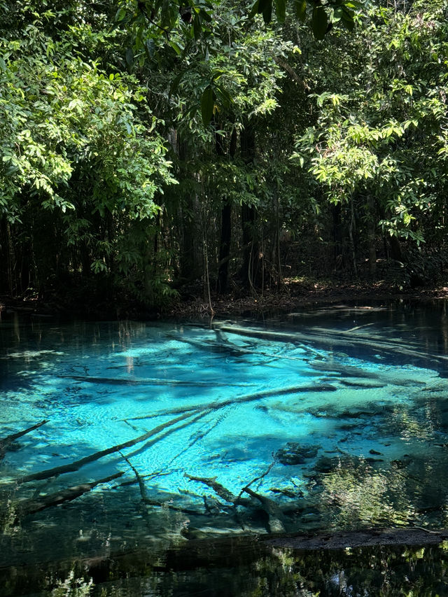 Emerald Pool, Krabi