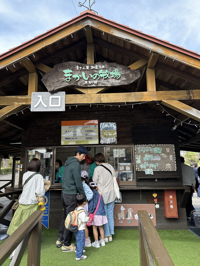 富士山周邊親子必遊！一邊欣賞富士美景一邊玩