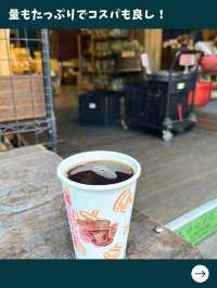 【台北女一人旅】苦い！でも身体に良い！地元で人気の青臭茶
