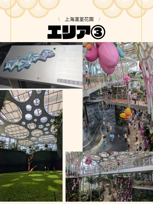 🇨🇳アジア最大級の植物園へ
