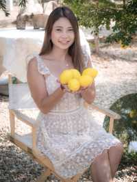 Summer Bloom Cafe