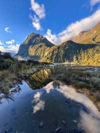 Milford Sound isn’t just a destination — it’s an experience in motion. 