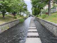 圓山公園登頂