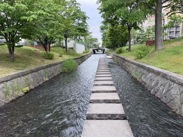 圓山公園登頂
