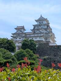 姬路 | 日本國寶名城，宛如百百鷺展翅的姬路城