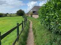 Silchester Roman Town Walls & Amphitheatre