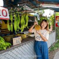 ถนนสายผลไม้ภูเก็ต 🍍🍊🍌🍉