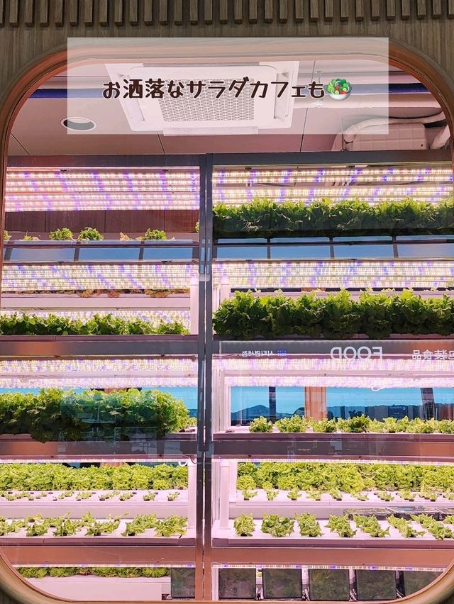 【ソウル旅行🇰🇷仁川国際空港】初めてでもドタバタしない！
